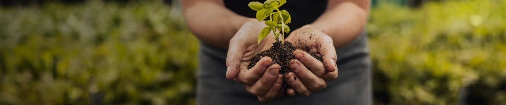 FARMING THE FUTURE, TODAY!