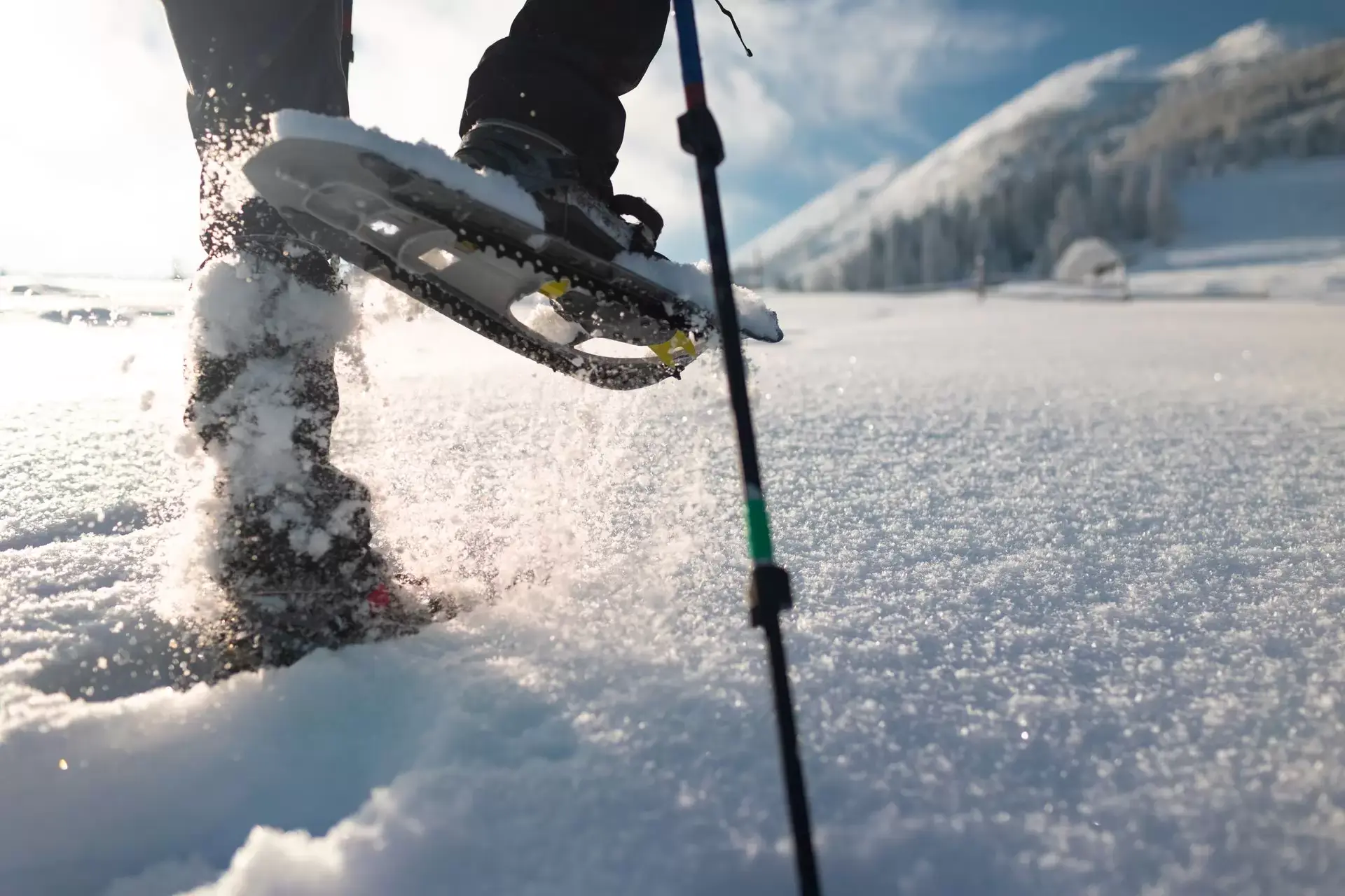 Discover the joys of hiking with snow shoes 