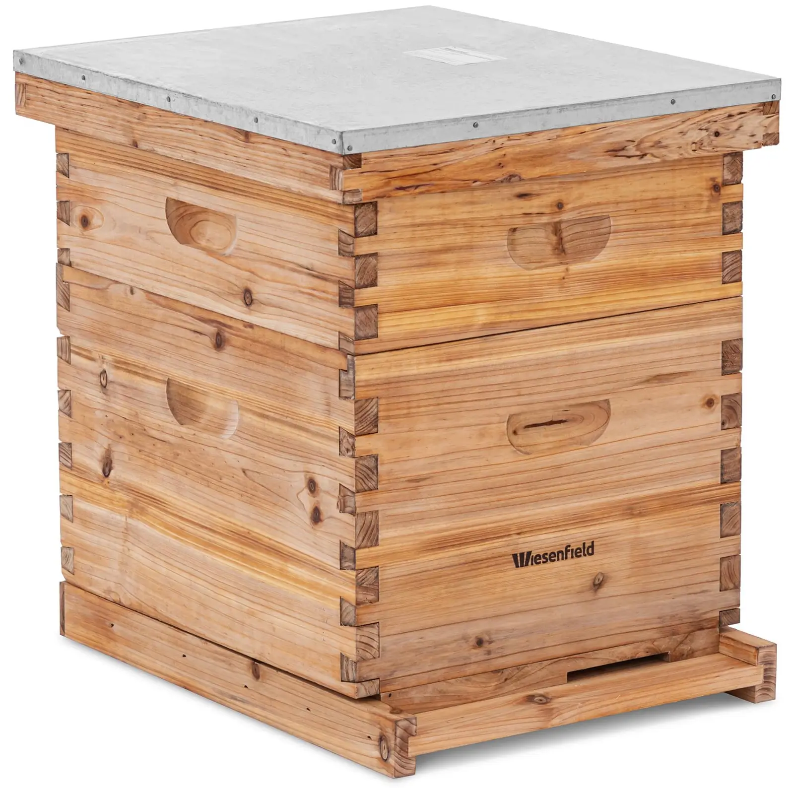 Dadant beehive–2 frames and base cassette with entrance hole