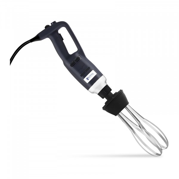Hand blender - 500 W - with whisk
