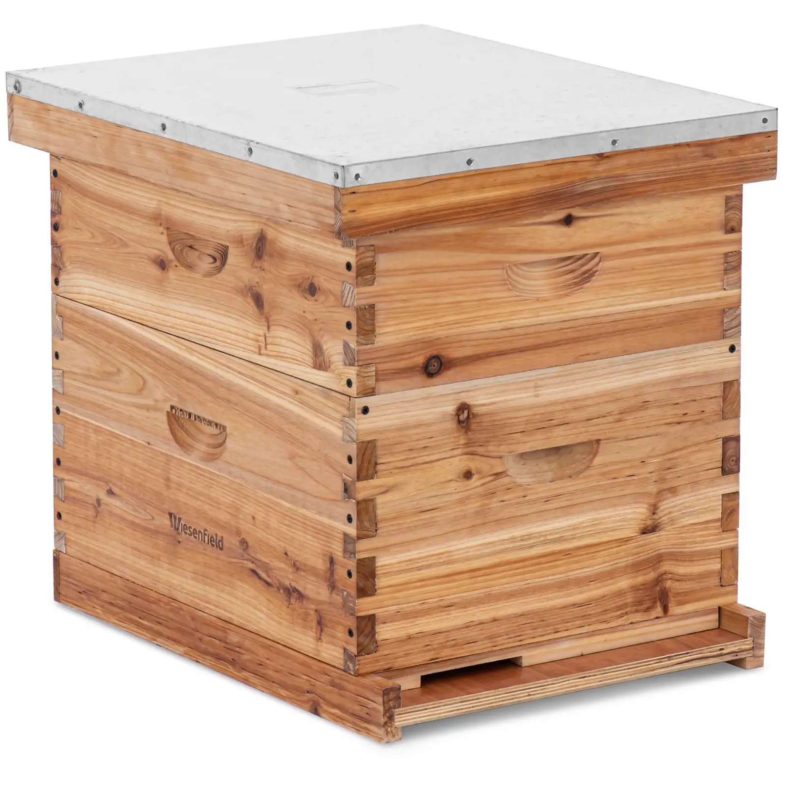 Langenstroth beehive–2 frames and base cassette with entrance hole